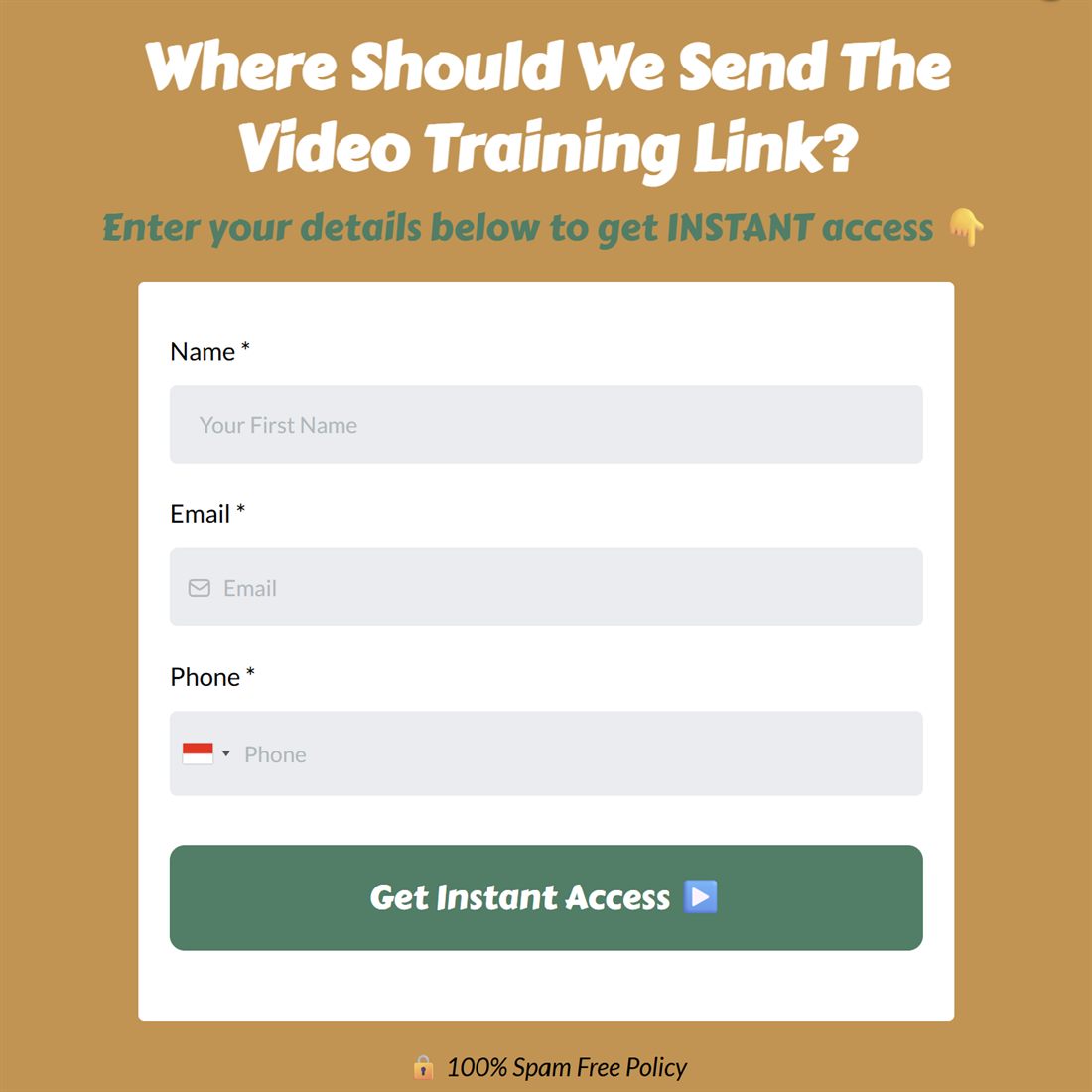 GoHighLevel opt-in form before